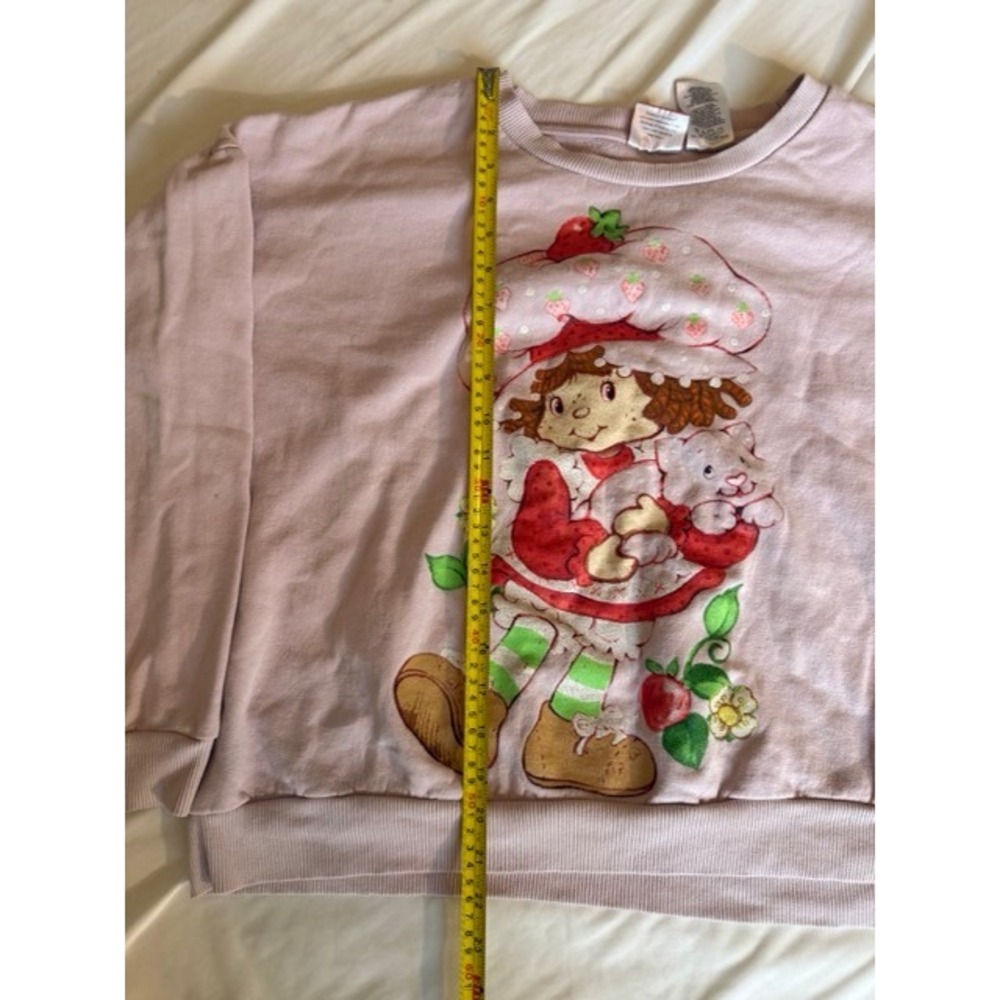 Strawberry Shortcake Graphic Sweatshirt Pink XL Pullover Crewneck Fleece - Picture 2 of 5